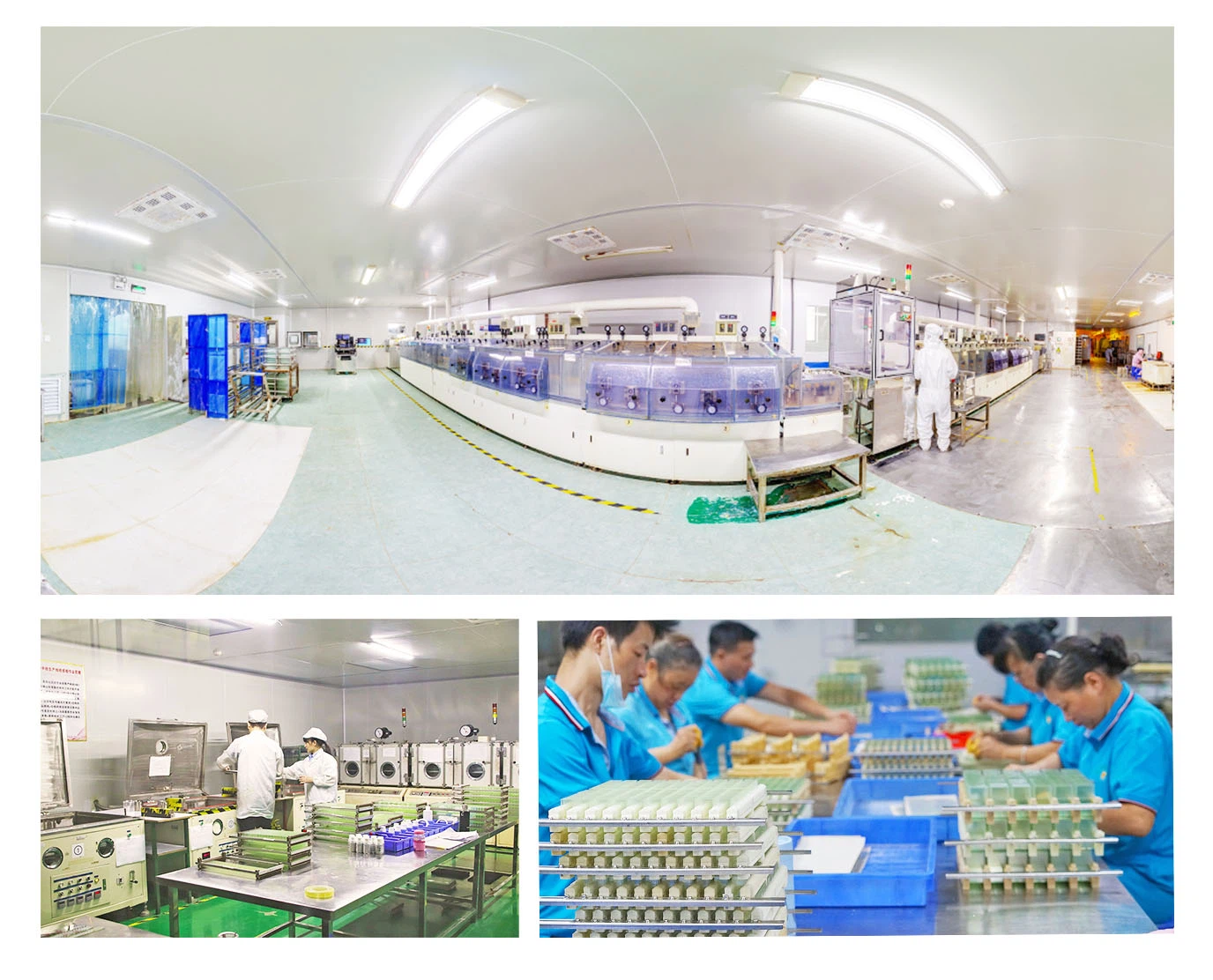 Forepart 2 Forepart 2